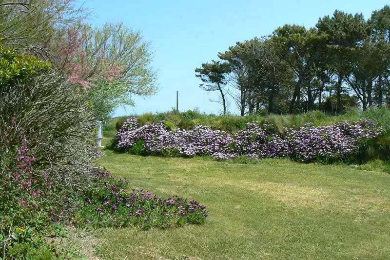 image gallery