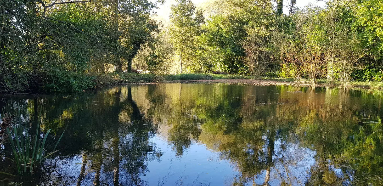 Camping nature et douceur