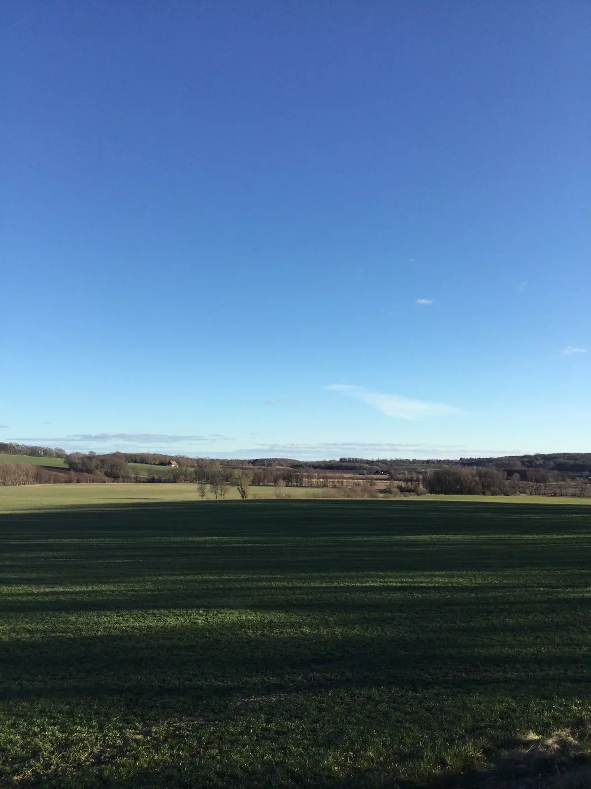 Brynestorp 115