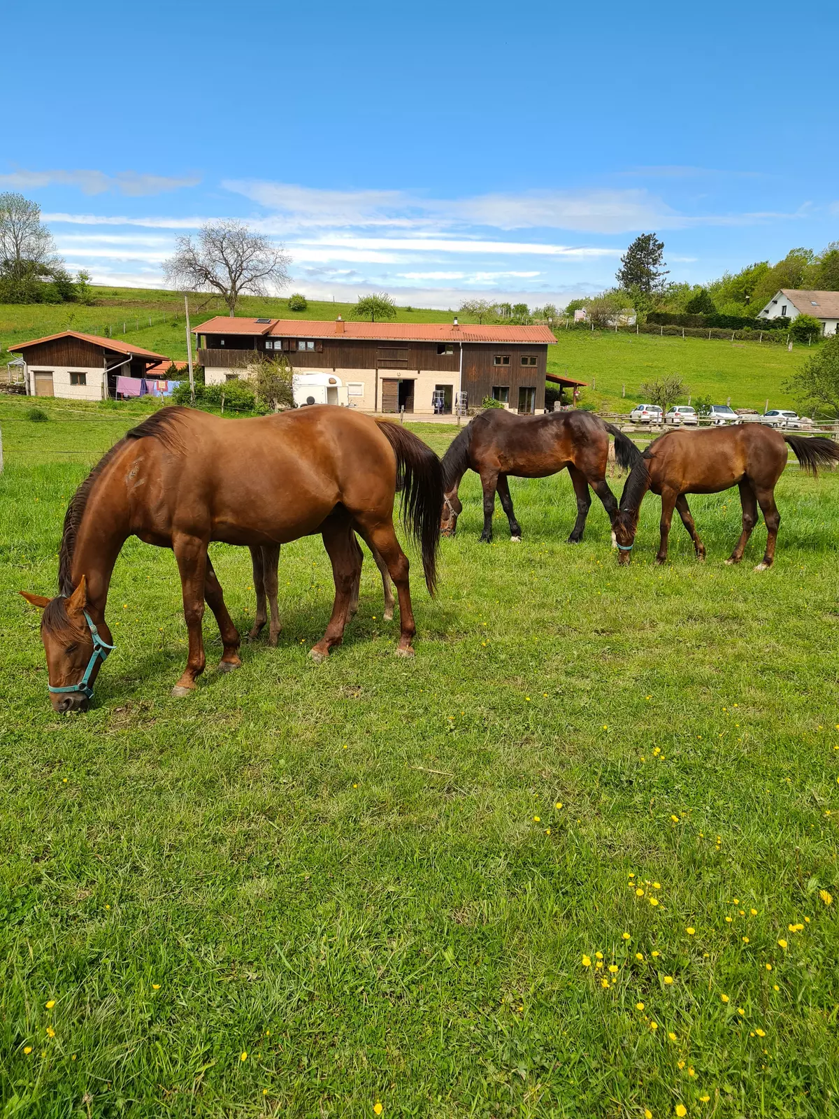 Camping spots i Uzemain – Emplacement dans un centre équestre