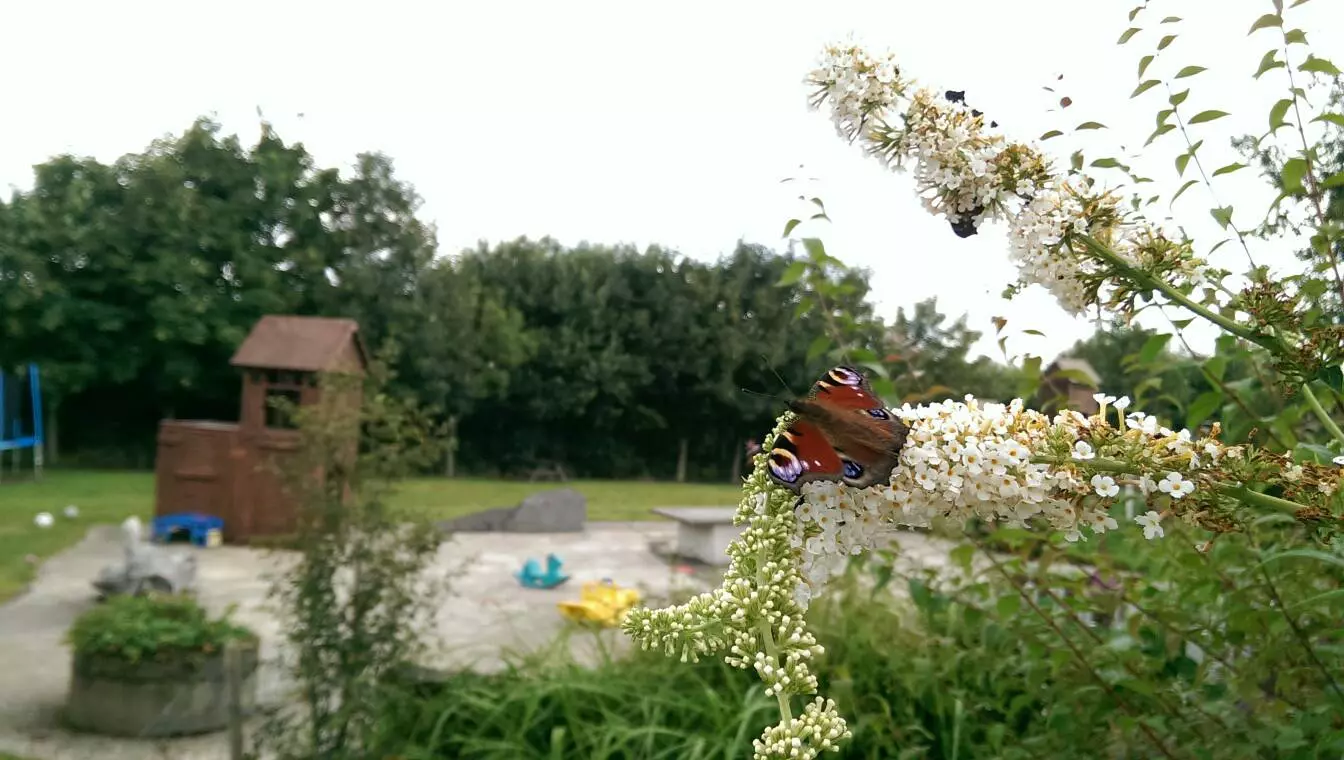 Bindesbølsgård campingplads