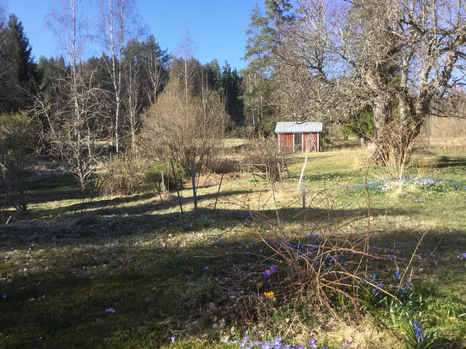 image gallery