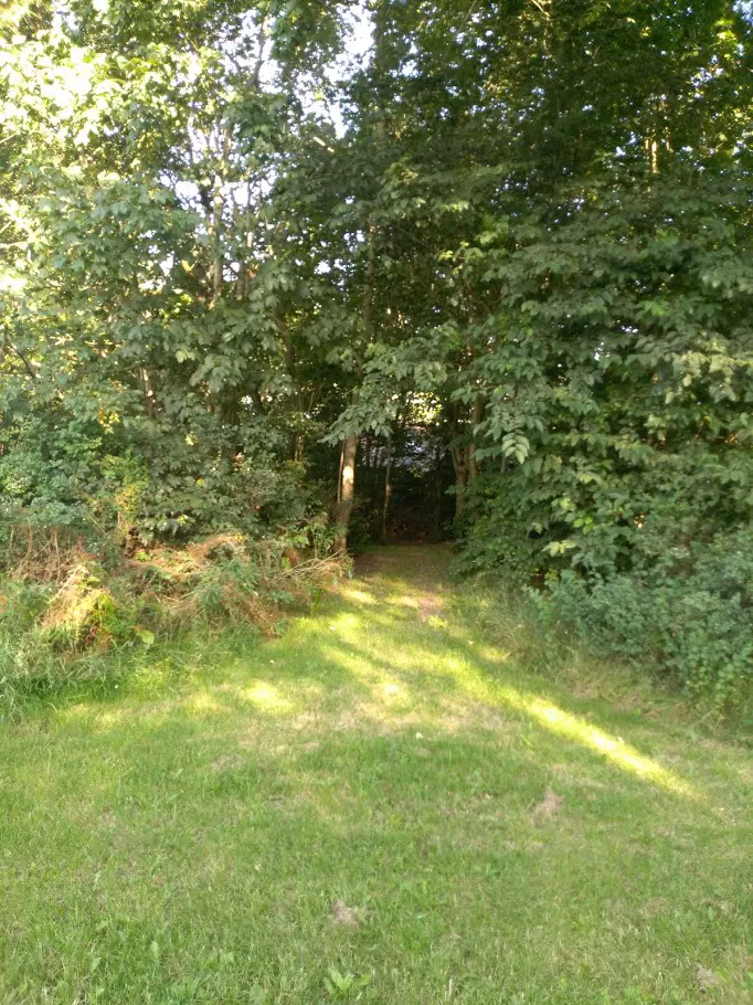 image gallery