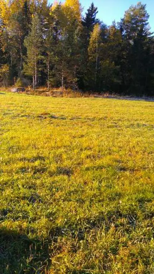 Nära till skog och hav, men även nära till kiosk och 25m pool.