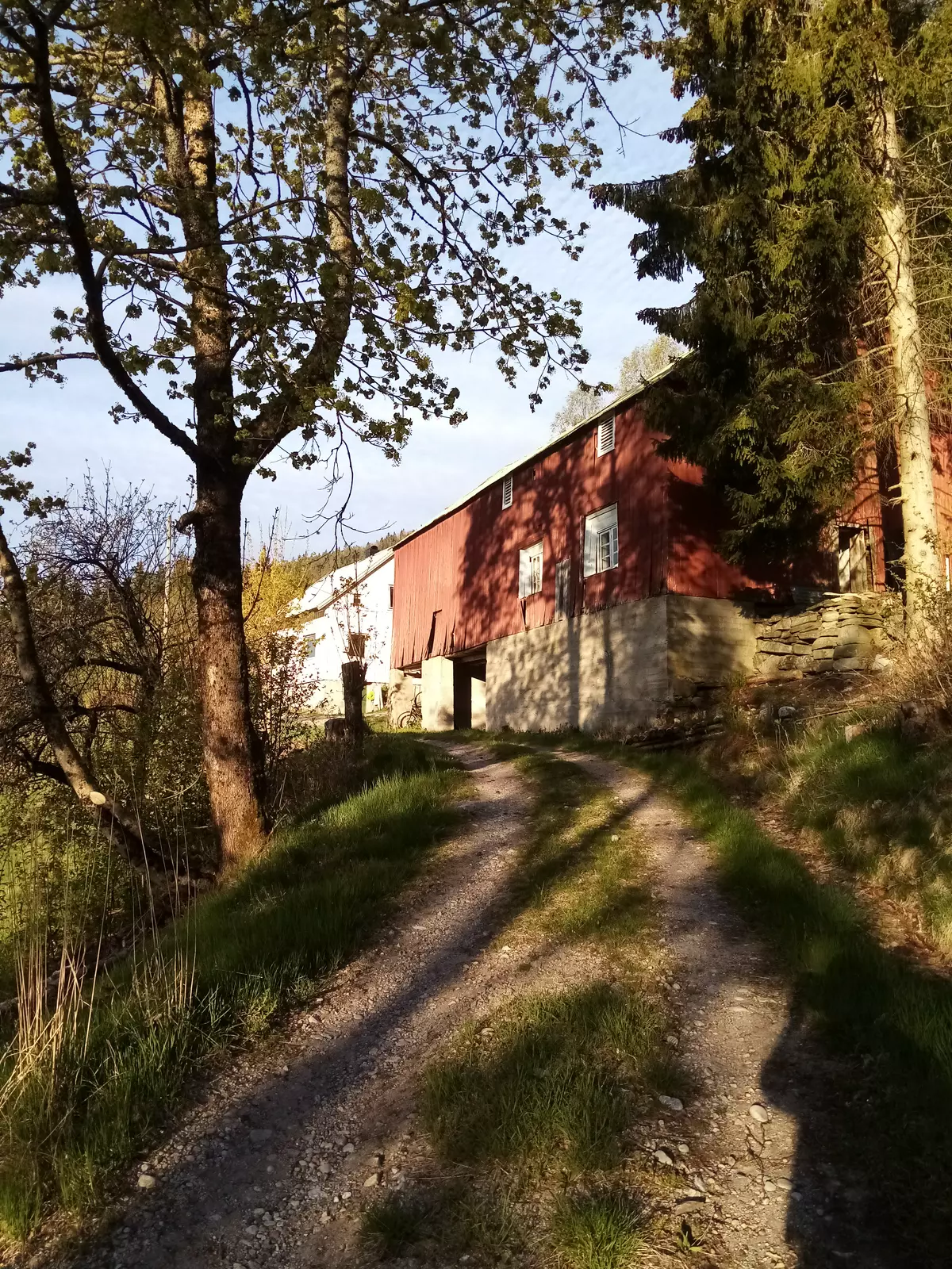 image gallery