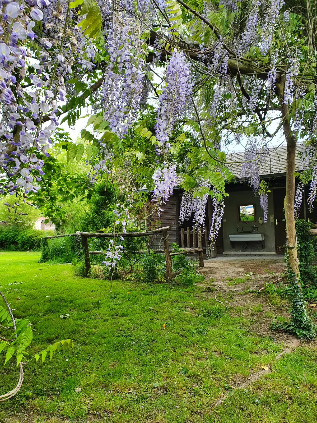 image gallery