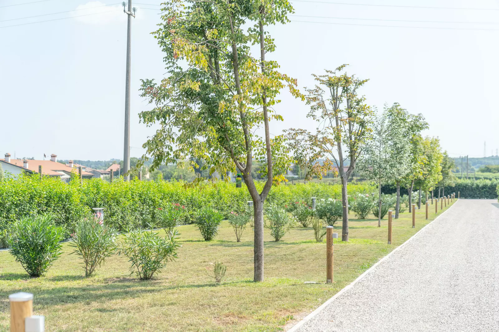 Agriturismo & AgriCamping Le Nosare