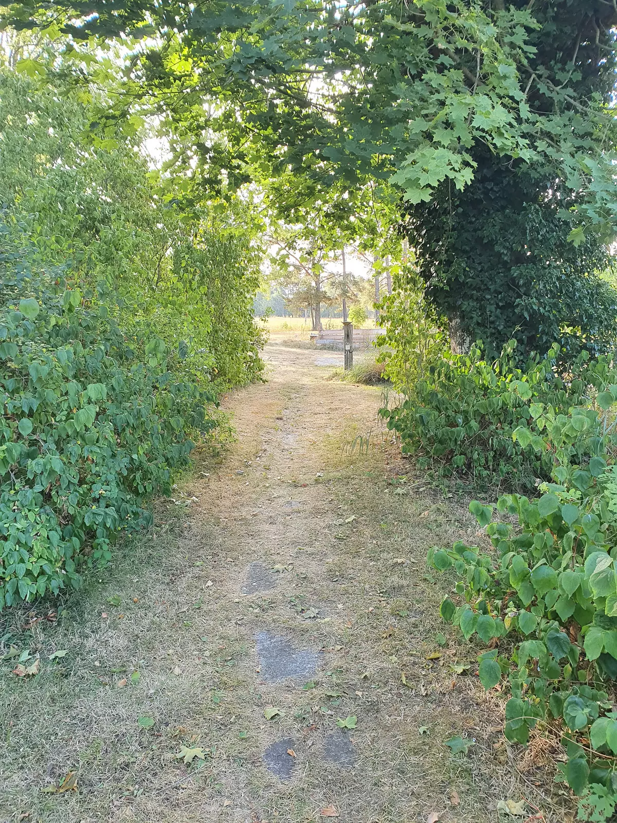 Söker du lugnet så finns det här.