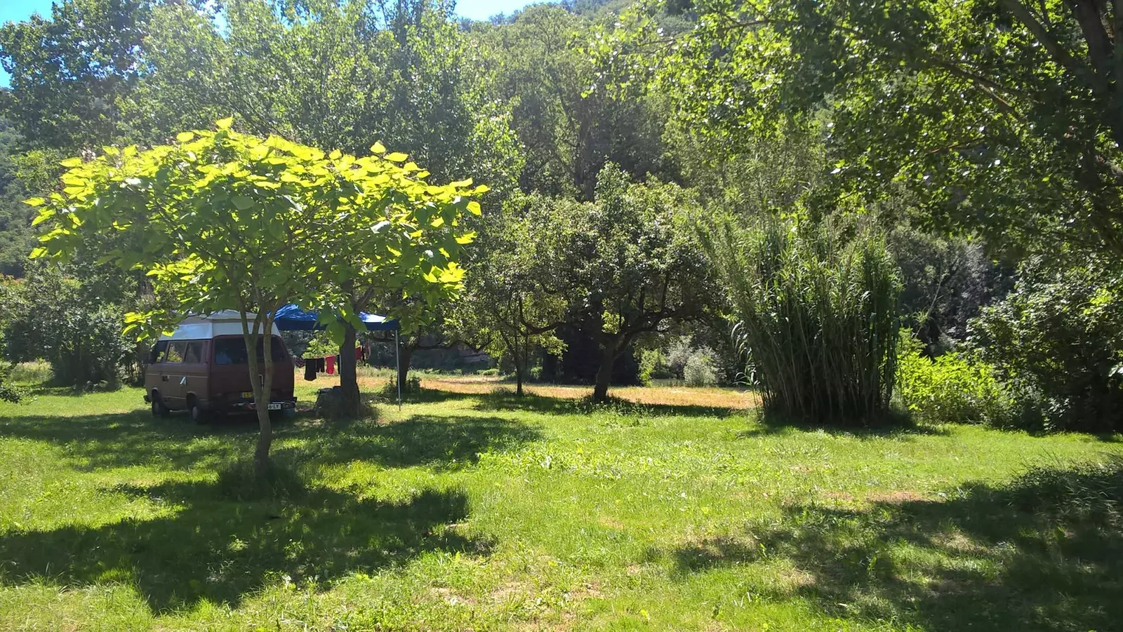 Le Katalpa
