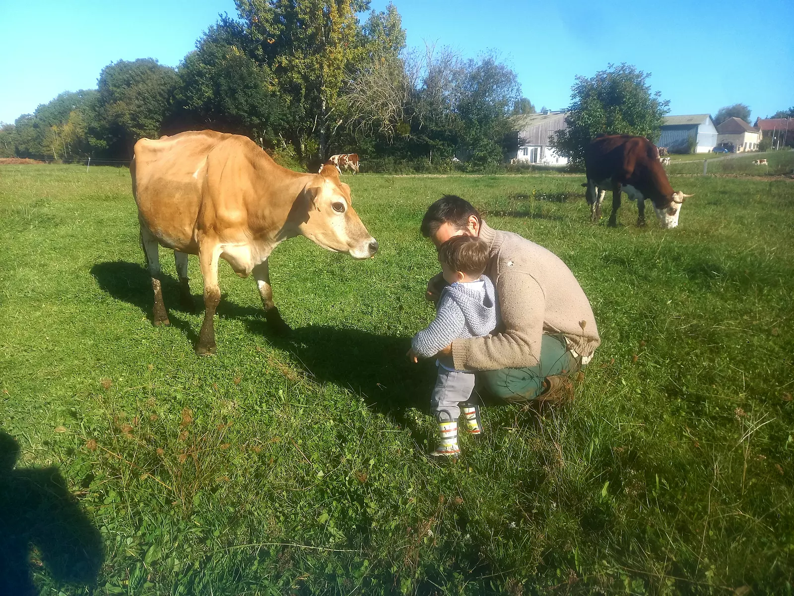 Le bonheur est dans le pré 