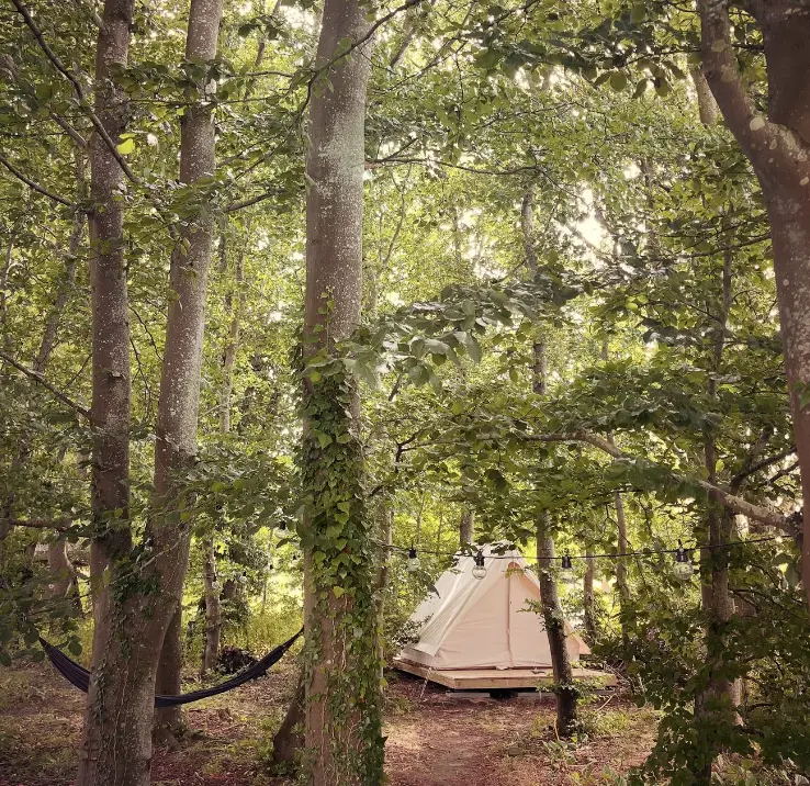 glamping telt med plads til to