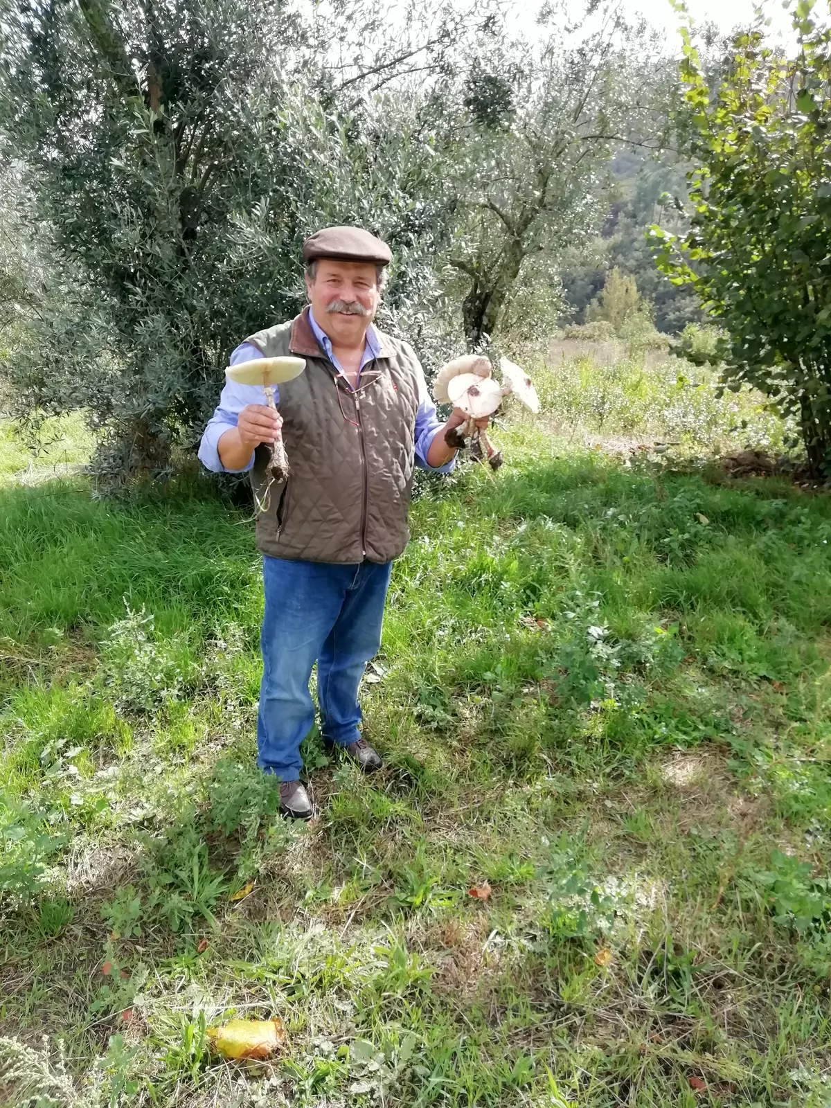 Quinta do Fojo