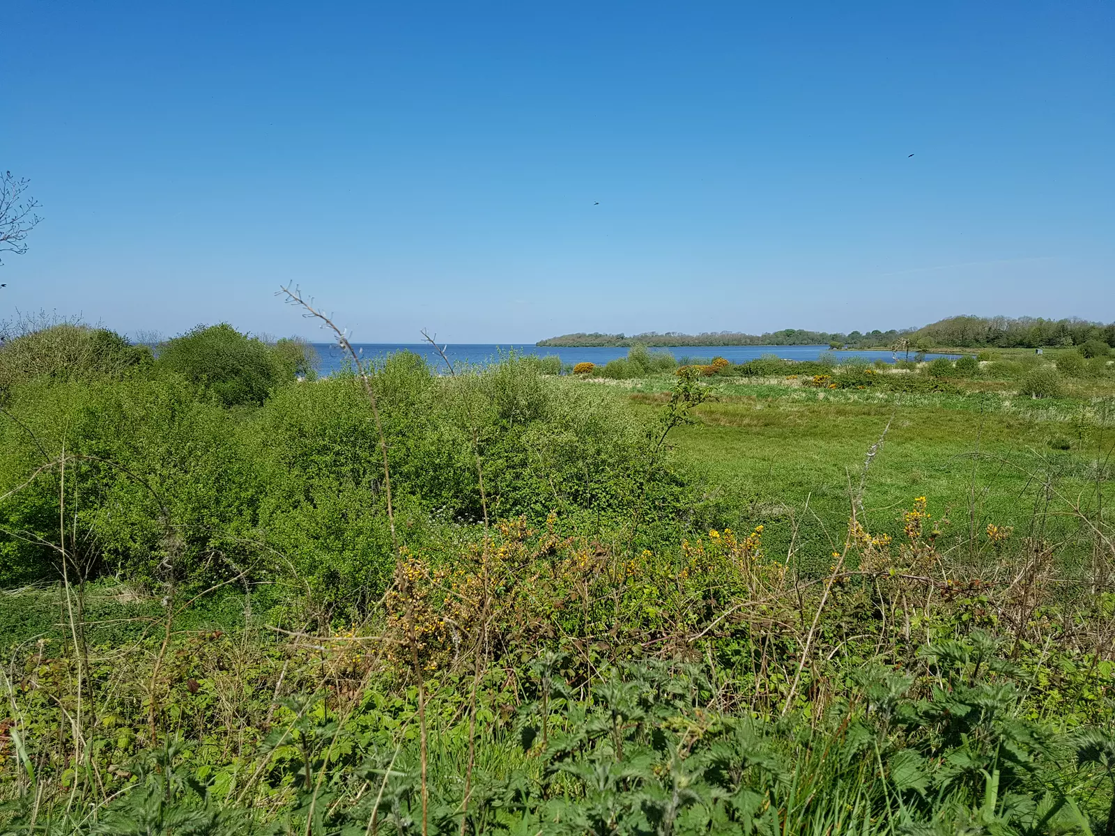 image gallery