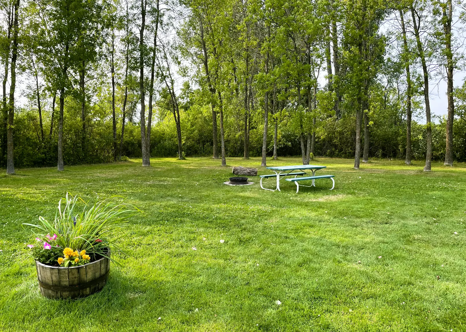 Swan Lake Resort & Campground