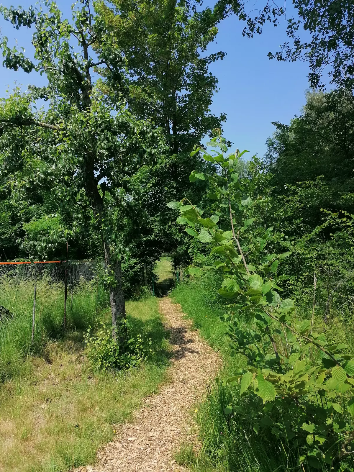 Permaculture - family friendly garden stay