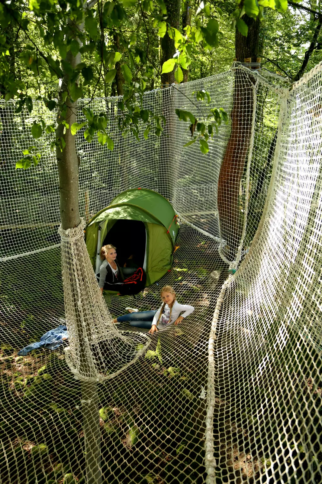 La canopée au coeur des Vosges