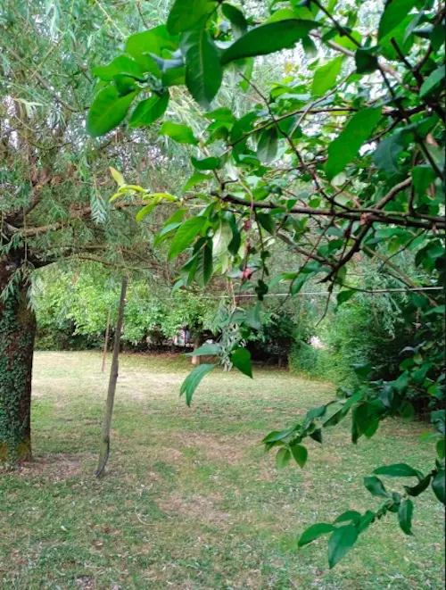 image gallery