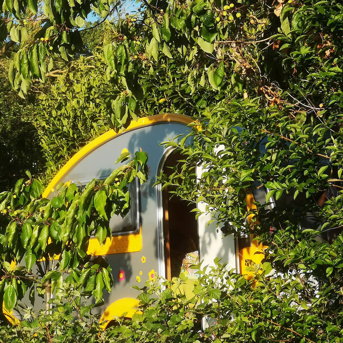 Aire Naturelle De Camping La Ferme Aux Cerisiers