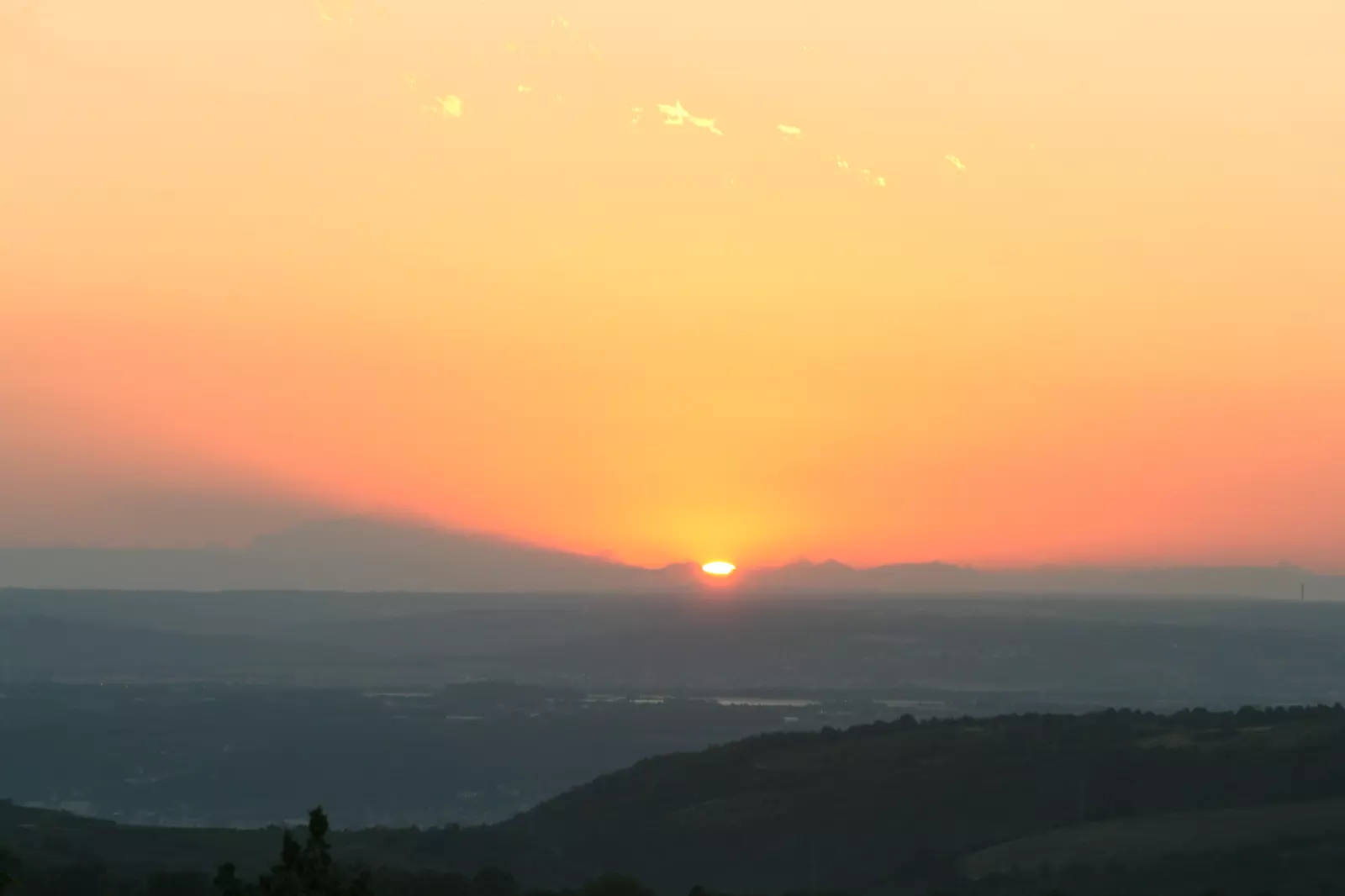image gallery