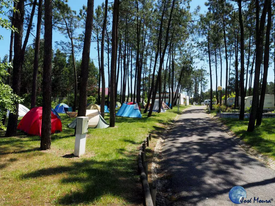 Camping spot with a nature view - Parque de Campismo do Luso