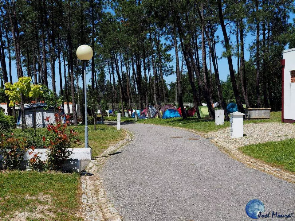 Camping spot with a nature view - Parque de Campismo do Luso