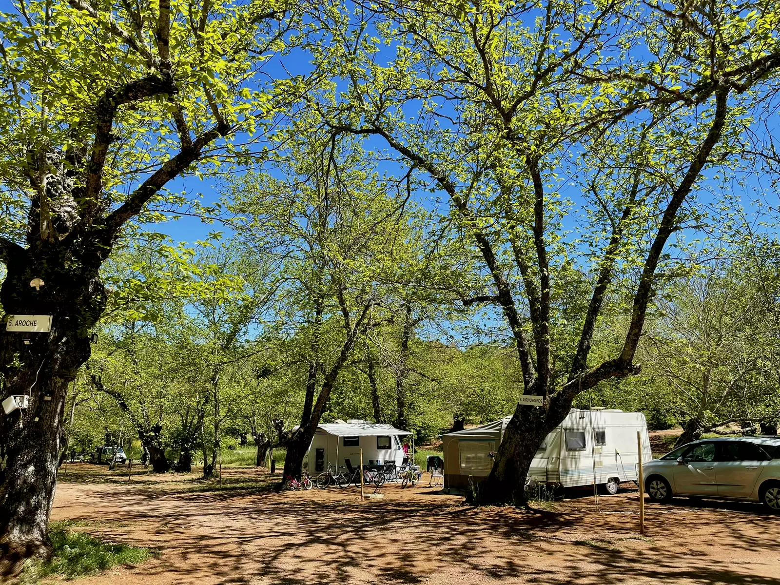 Camping el Madroñal - Camping en Huelva