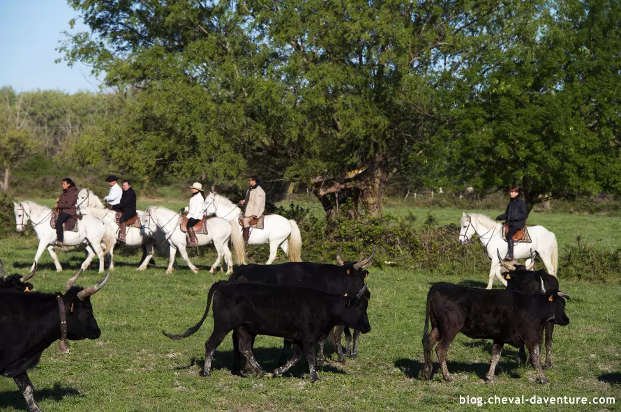 La Commanderie du Couvent