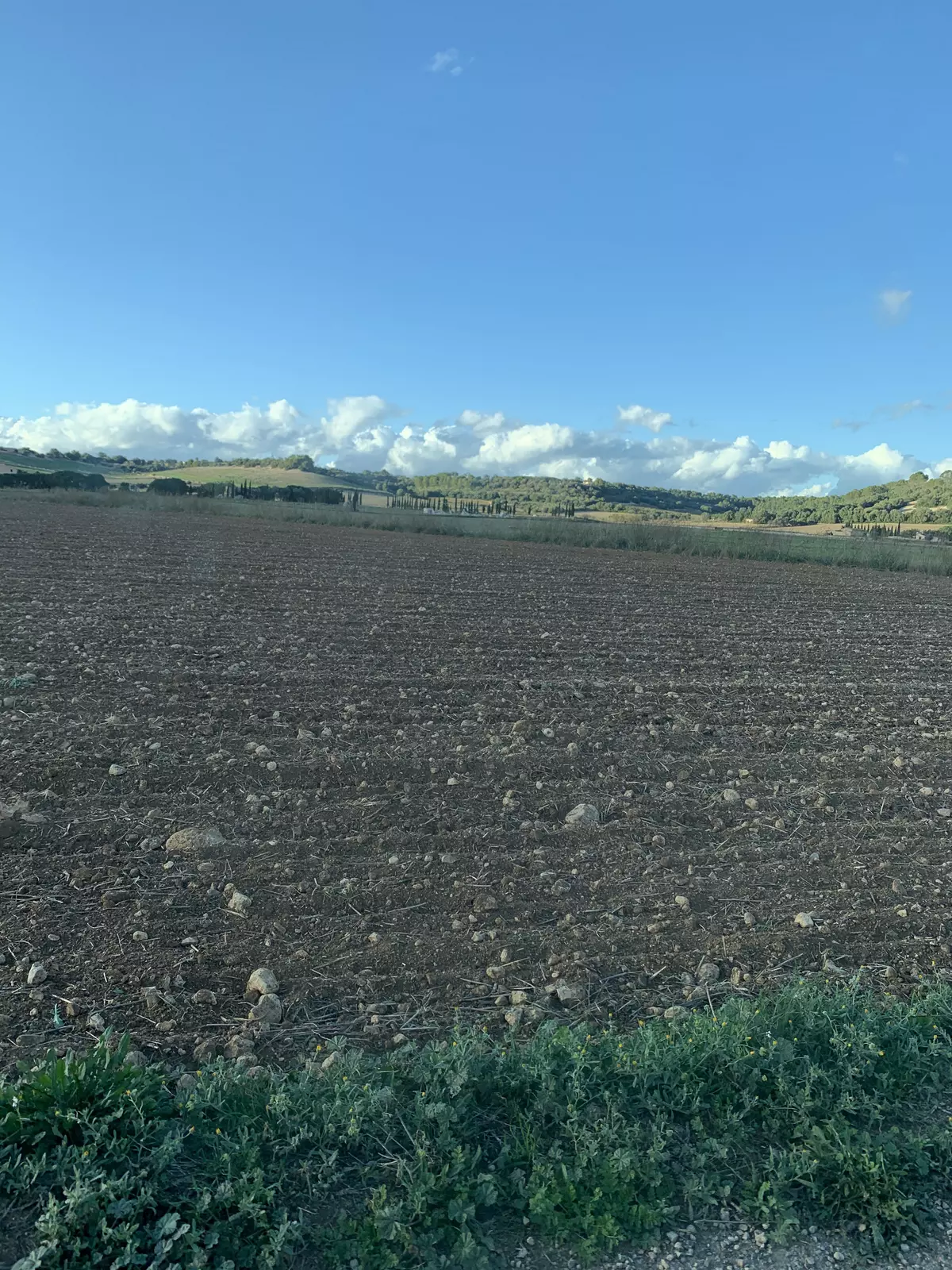 Un lugar para estar relajado y feliz