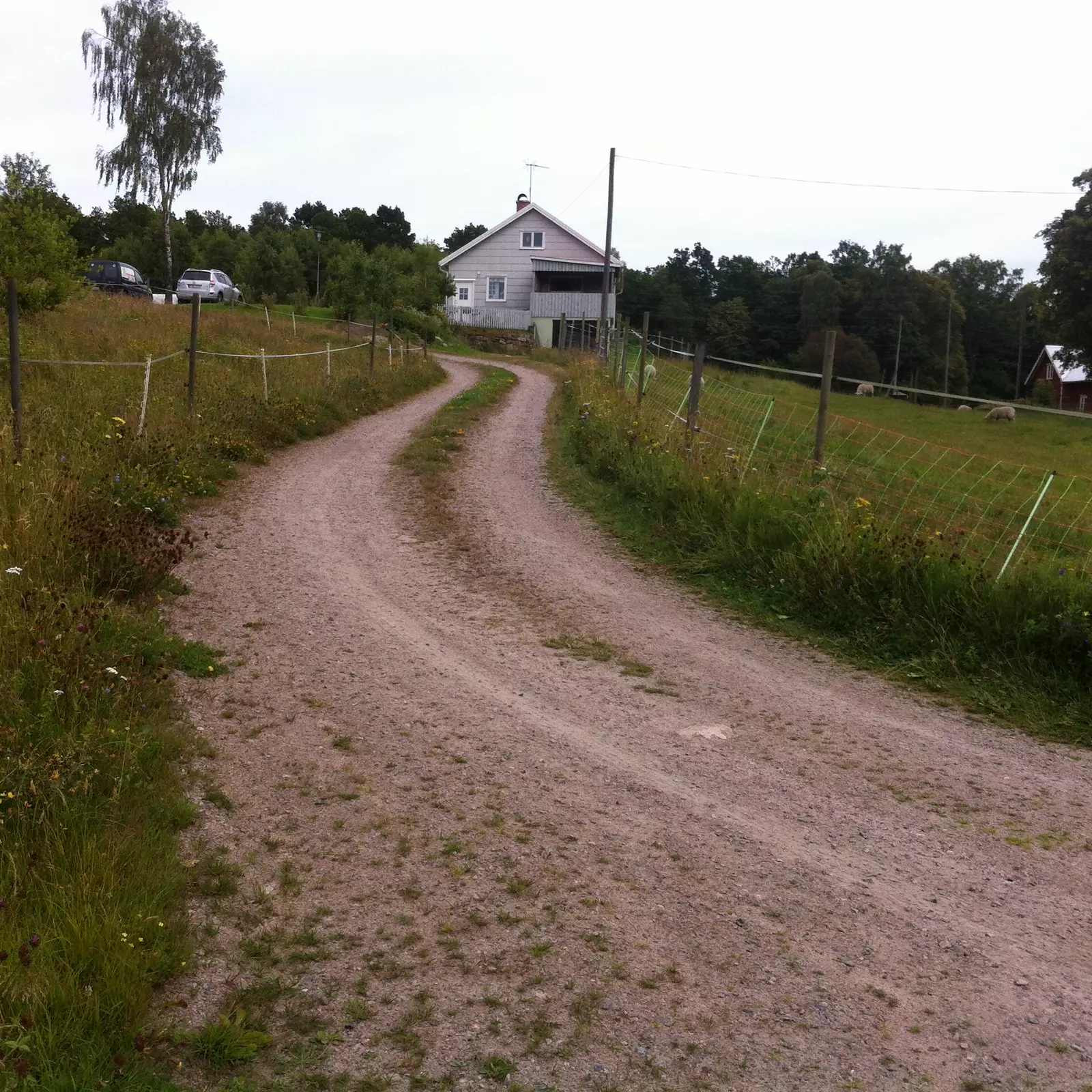 Kalvs Gårdsboende