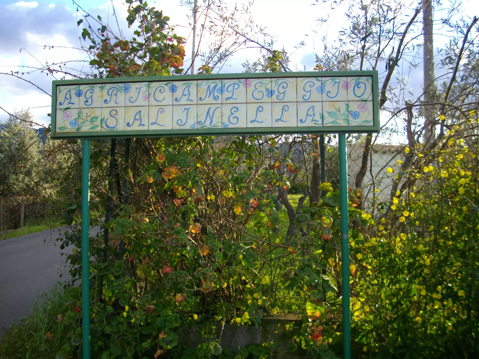 verde a pochi km dal mare