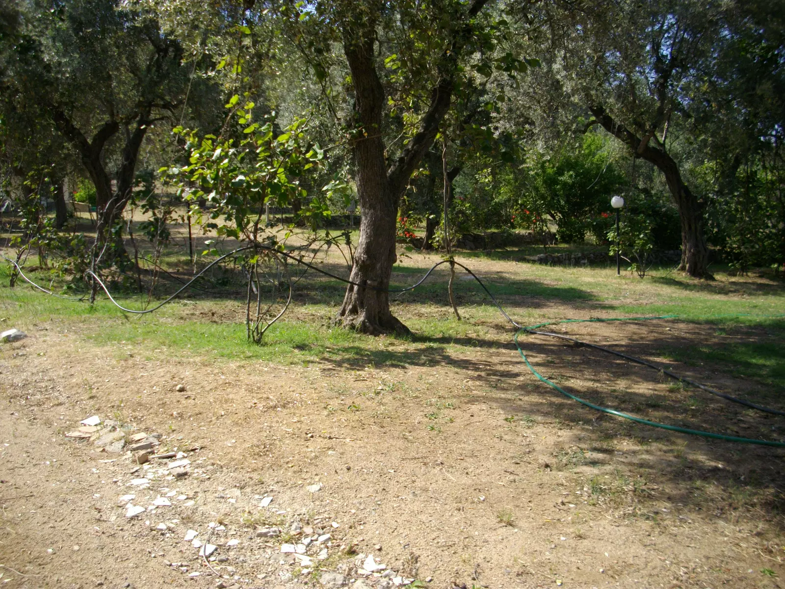 image gallery