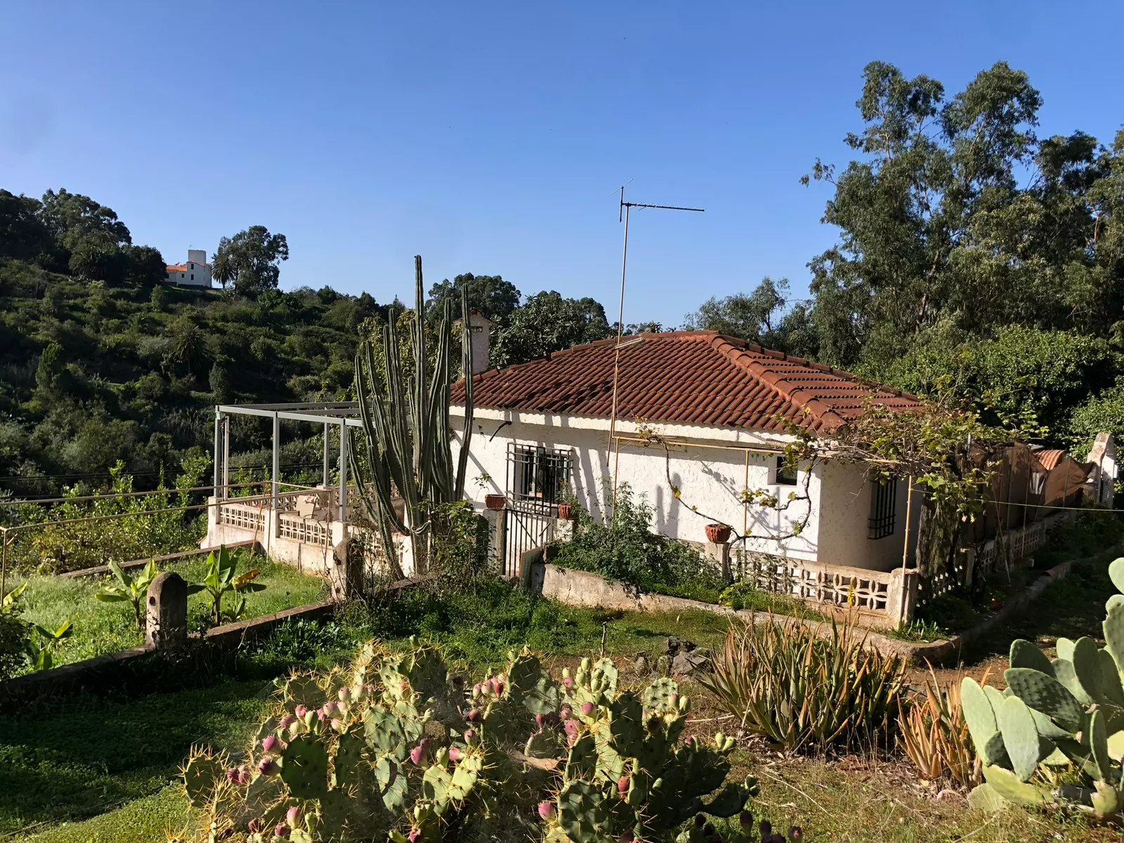 Hacienda Ernesto