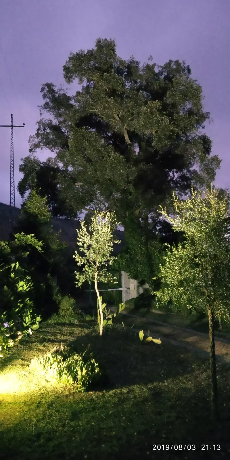 Quinta dos selombros