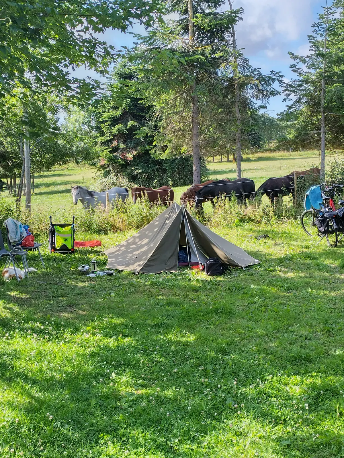 Langeland Camping
