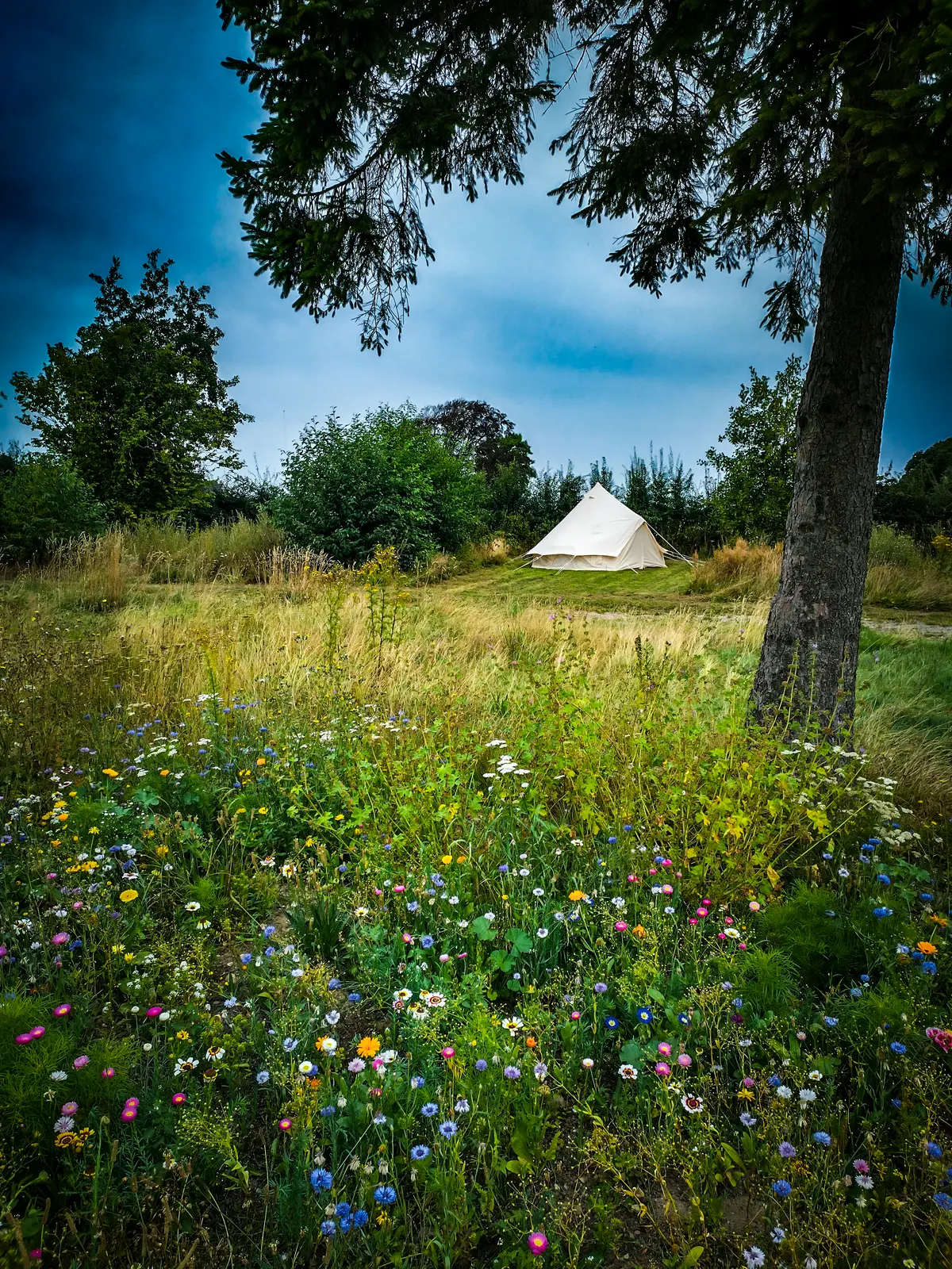 Langeland Camping
