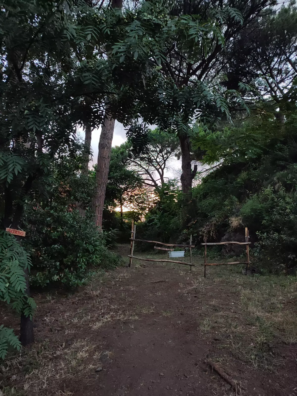 Brandito's Wild Camp 