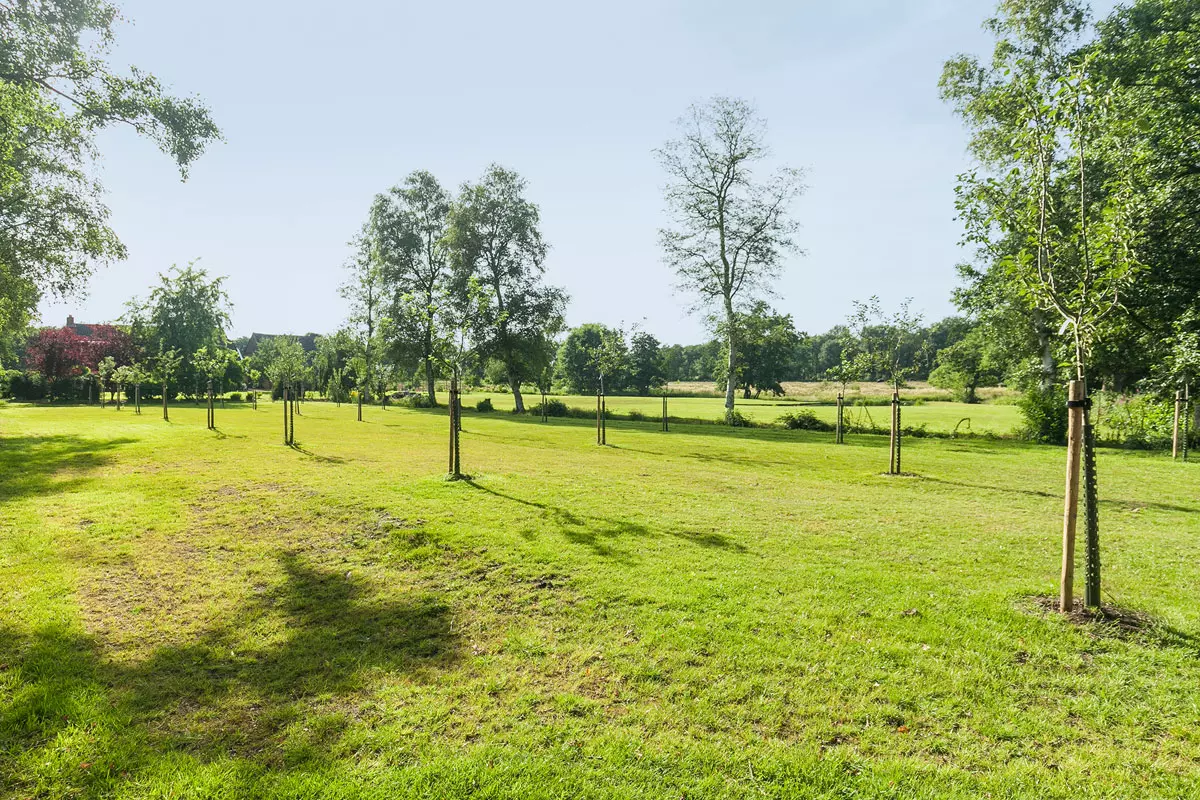 Camping De Groene Valk Tent
