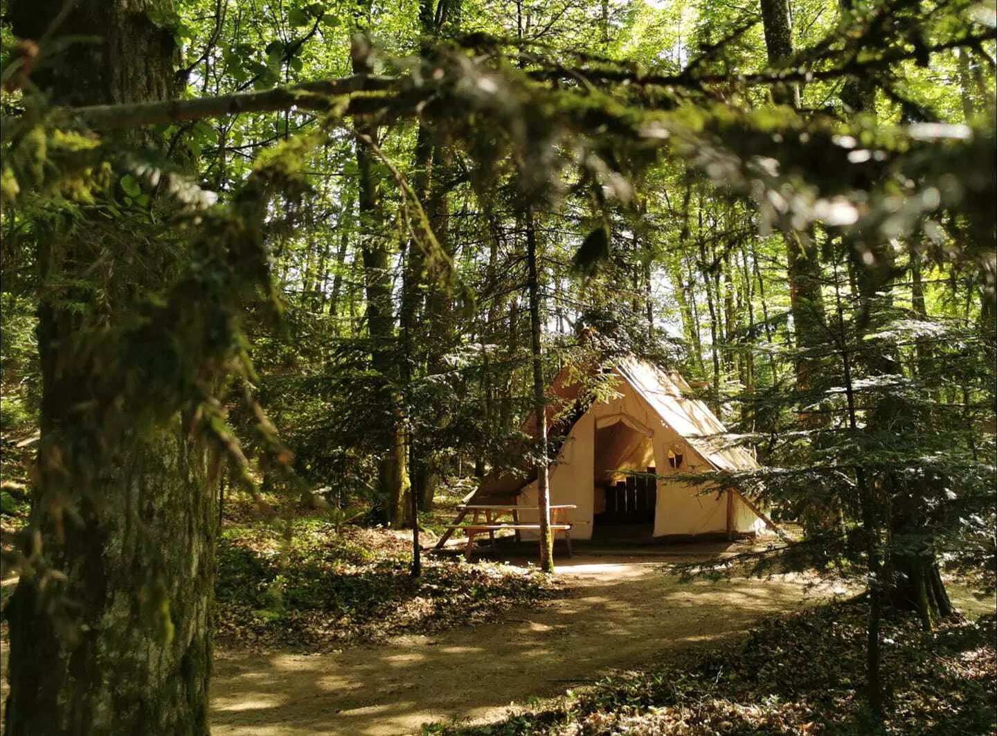 Le repaire des aventuriers au coeur des Vosges