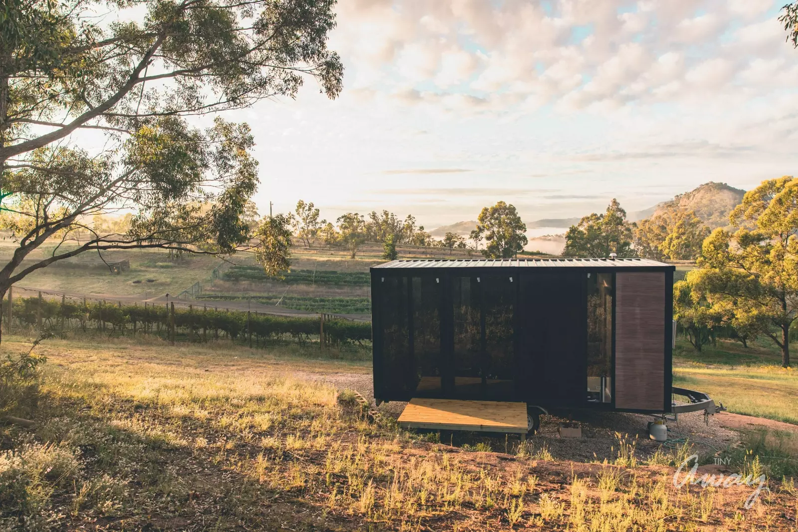 Kanimbla Valley Willow Tree Bend