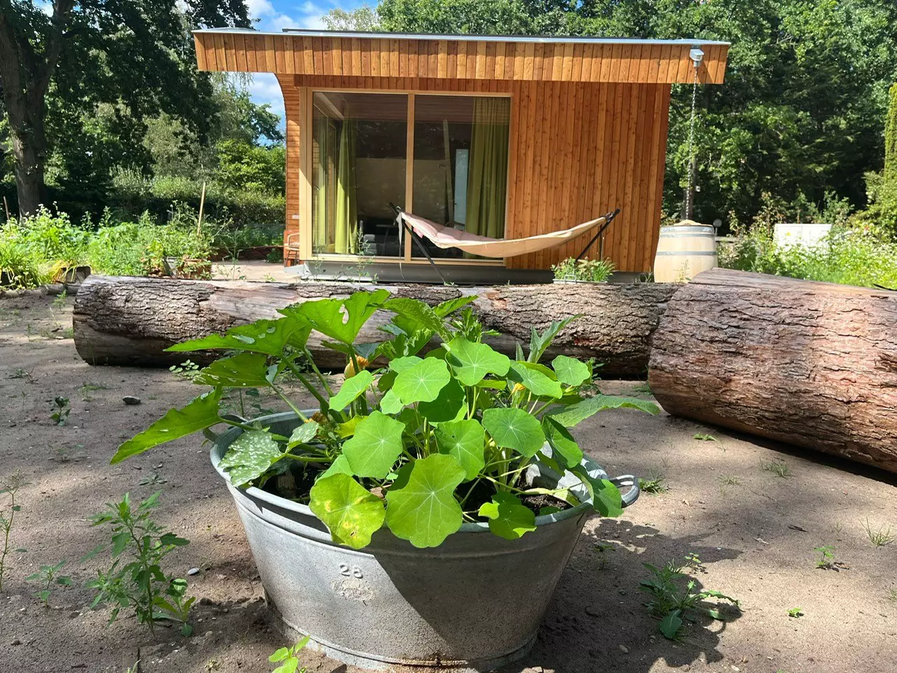 Modern Tiny House gelegen in de bossen van Otterlo -de Bij
