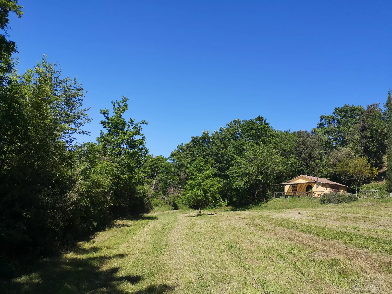 Le Capinere - 2+2 persone - Casa immersa nel verde - Agriturismo Fattoria La Prugnola