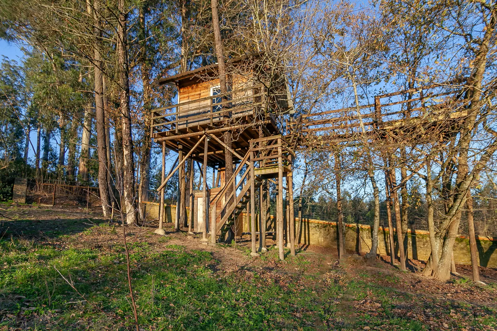 Casa  da Árvore Alameda - Vale da SIlva Villas