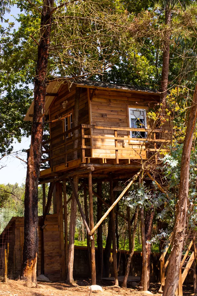 Casa  da Árvore Alameda - Vale da SIlva Villas