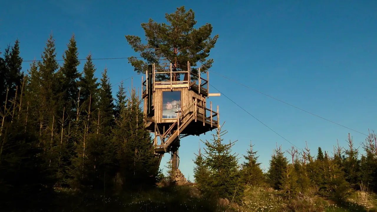 Tree top hut - Utsiktsredet