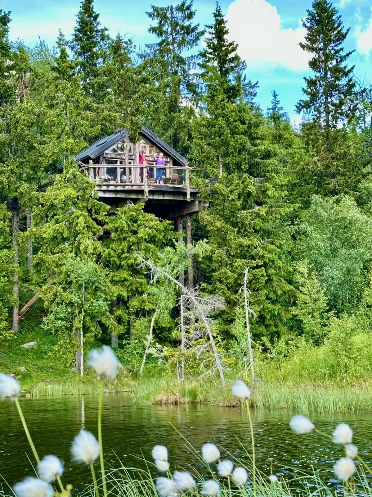 Tree top hut - Bjørk
