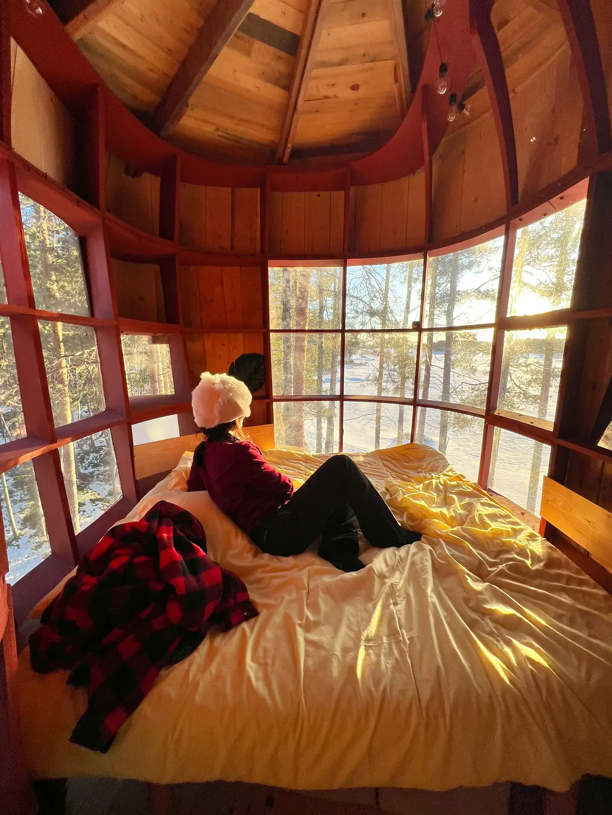 The Haven Islands - The Bear