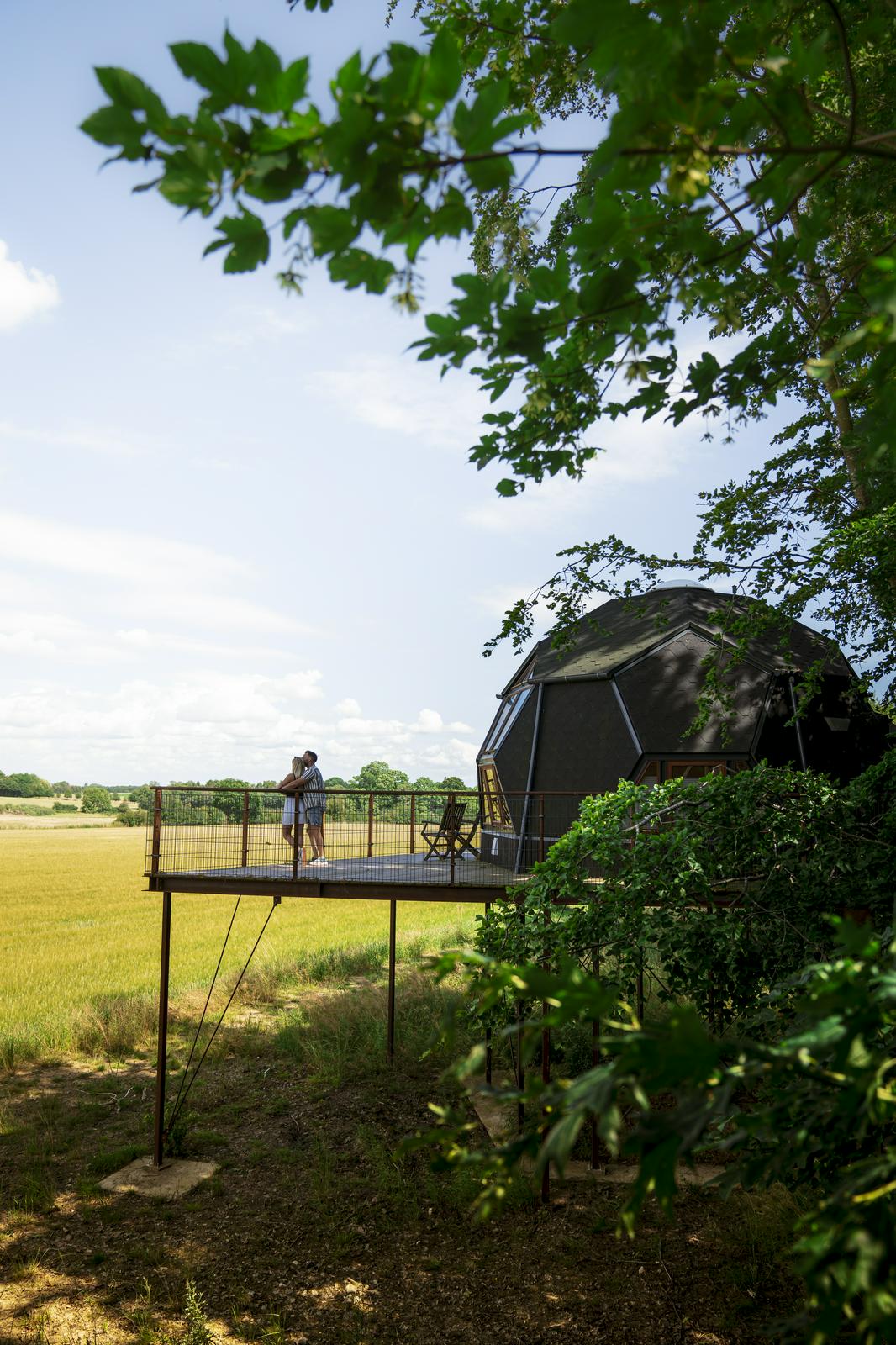 Møllegårdens Trætophyt