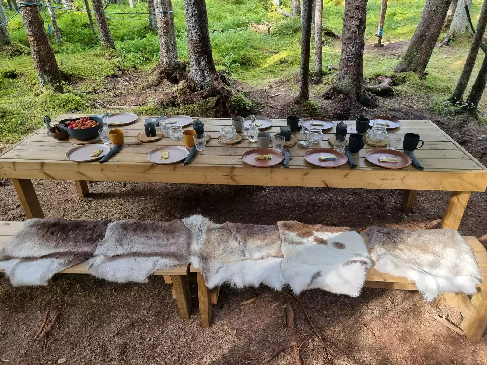 Lei hele svevecampen til Treetop Ekne