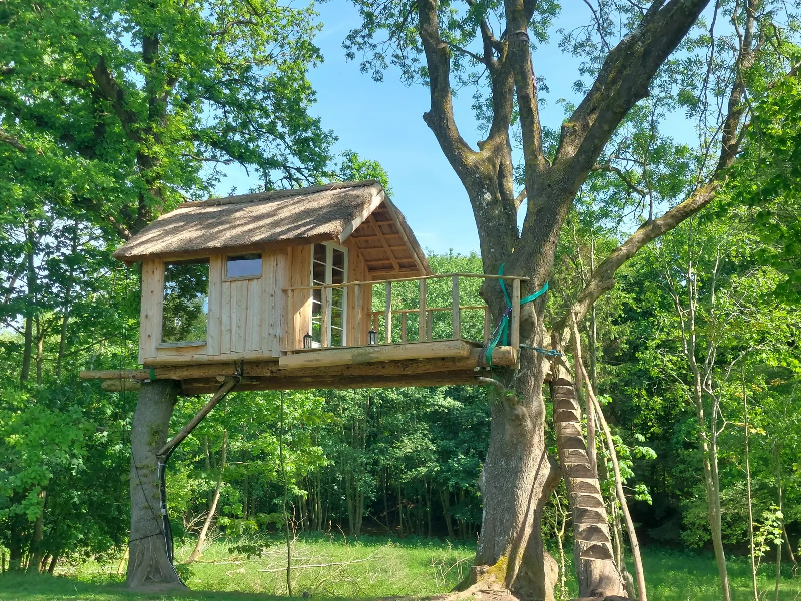 Artistic Treehouse