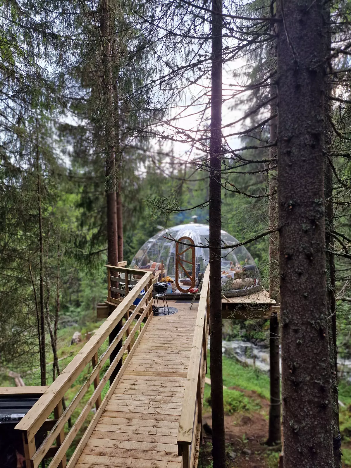 Tretoppiglo ved Lårdalselva